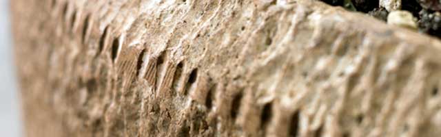 Polystone Pflanzkübel, akzente Raumbegrünung