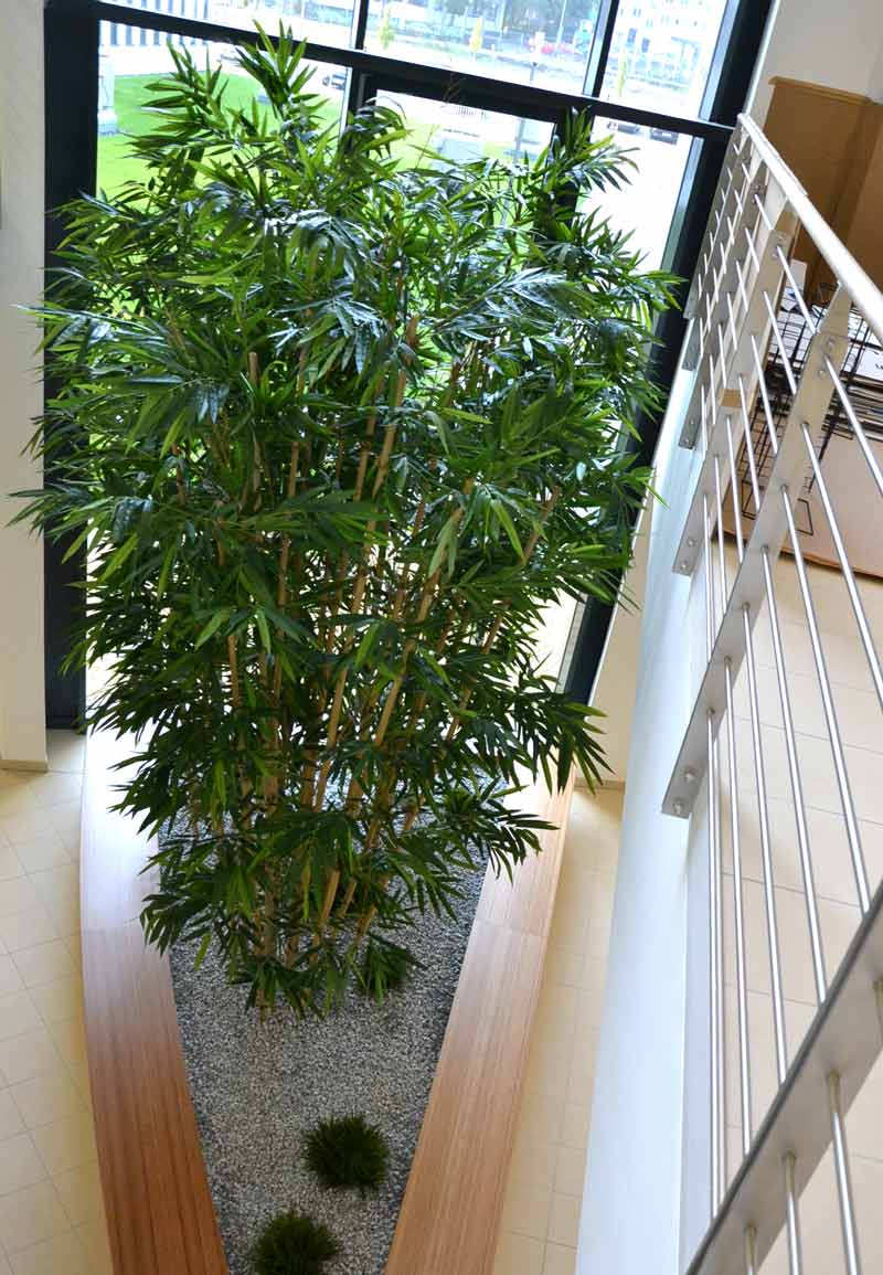 Begrünung mit Bambus - Textilpflanzen in einem dreieckigem Pflanzbecken im Treppenhaus