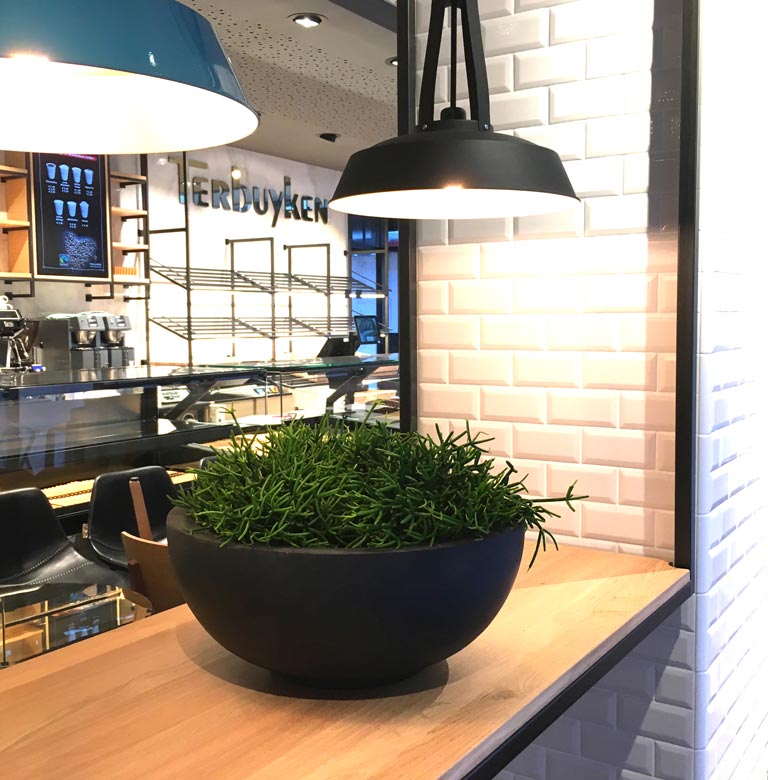 Referenzen | akzente raumbegrünung