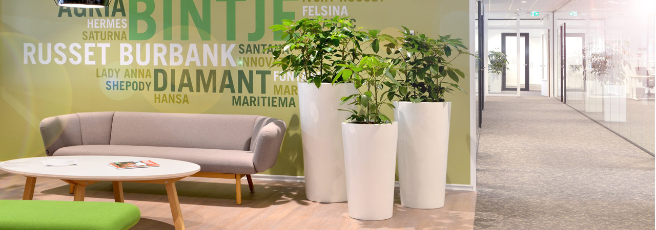 Pflanzsäule Begrünung Flur Foyer Hydrokultur, akzente raumbegrünung