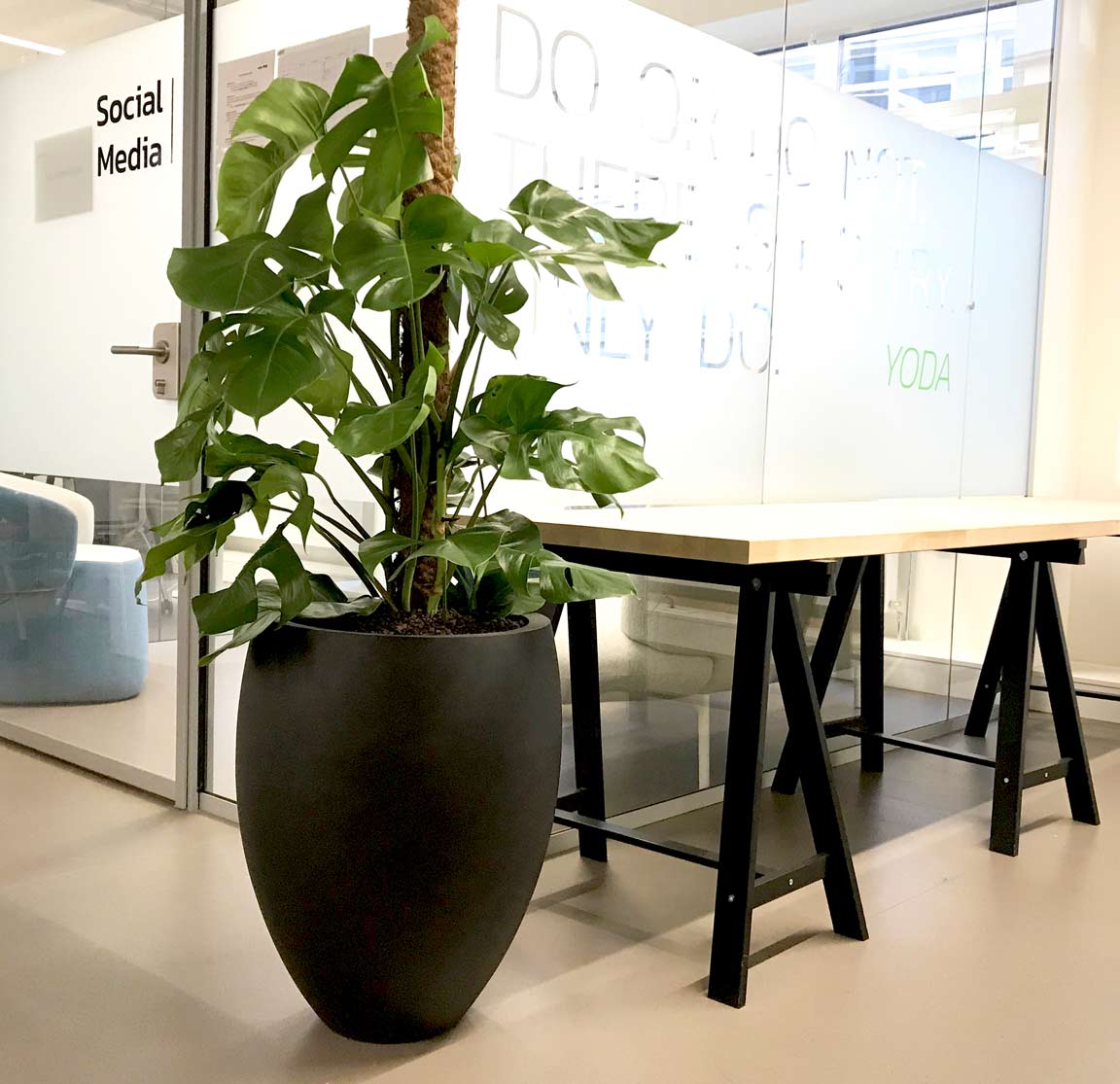 Referenzen | akzente raumbegrünung