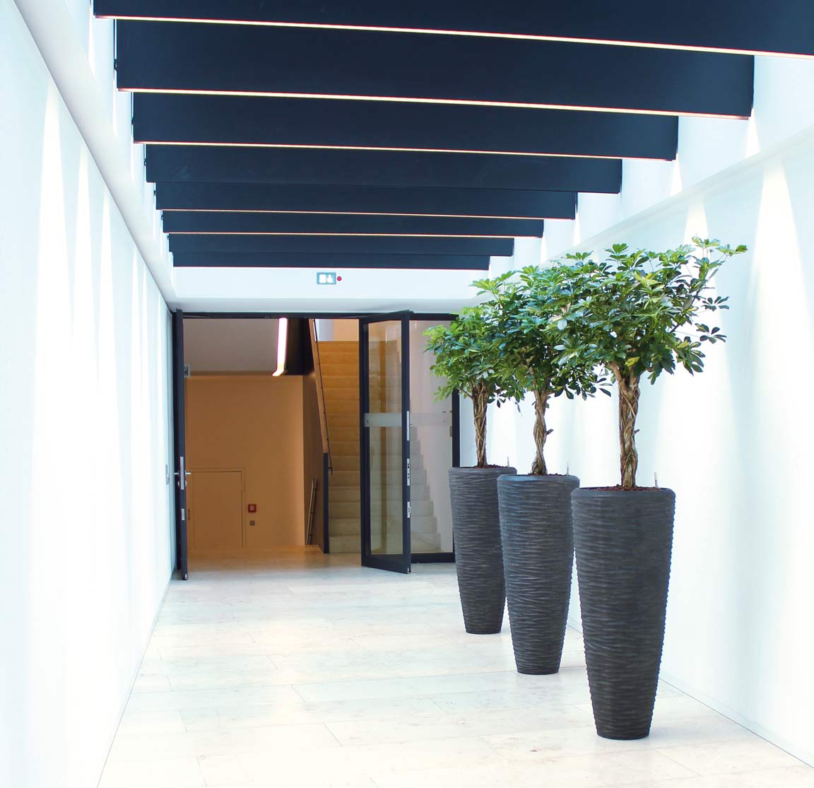 Referenzen | akzente raumbegrünung