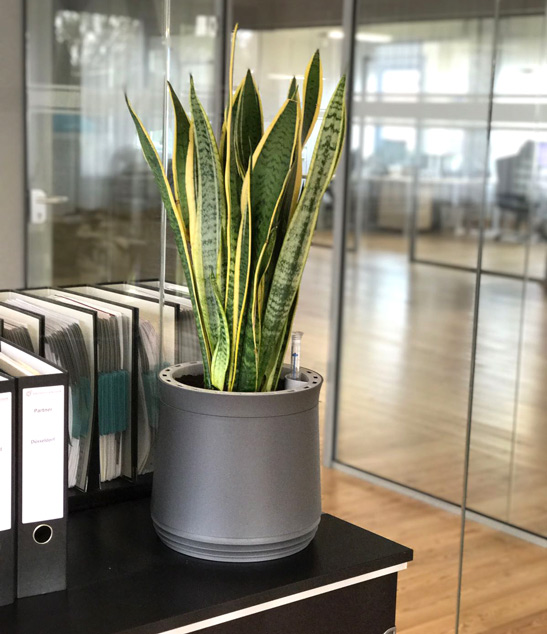 AIRY Biofilter | akzente raumbegrünung