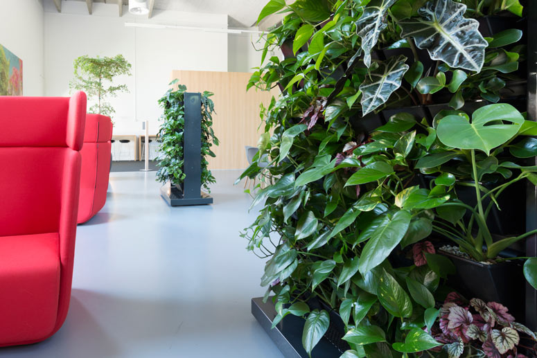 NEXTGEN Living Wall Room Divider, akzente raumbegrünung