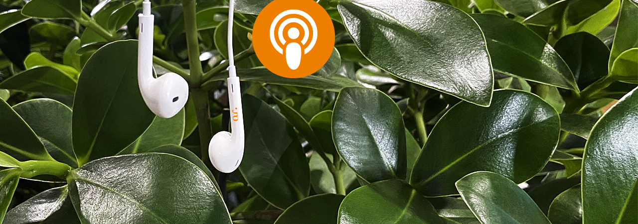 Podcast Az Titelbild2