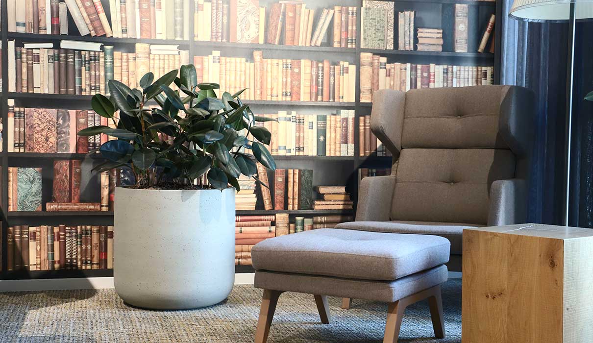 Bepflanzung Firmenbibliothek Akzente Raumbegruenung Pflanzenwand Storebegruenung Duesseldorf Juwelier Akzente Raumbegruenung