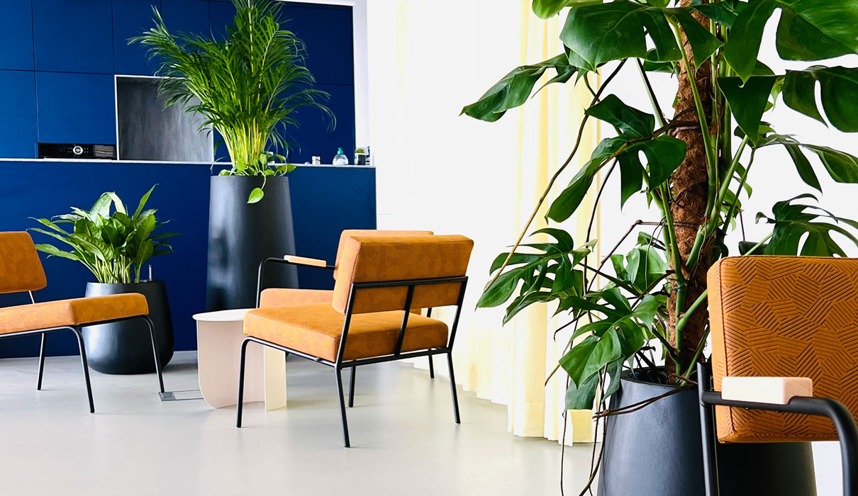 Officebegrünung
