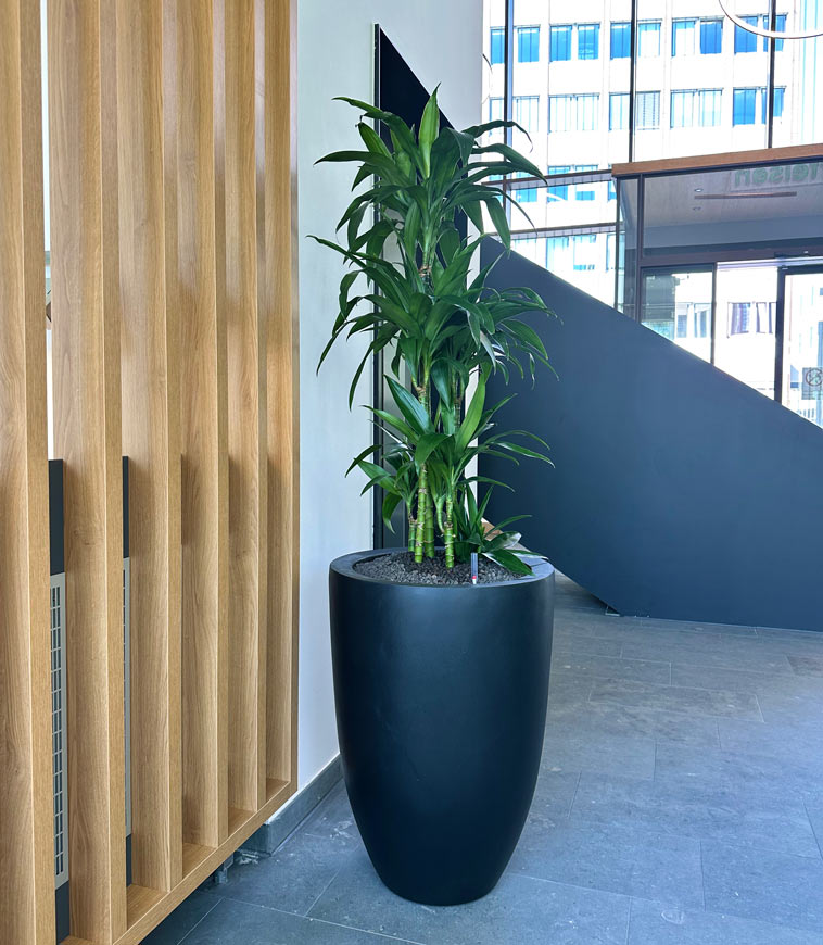 Foyer Empfang Pflanzsäule Pflanzen im Hotel